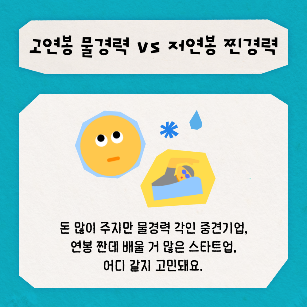 주니어tf상담소 신입 물경력 고연봉